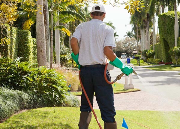 About Narka KS Pest Control